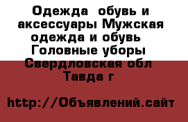 Одежда, обувь и аксессуары Мужская одежда и обувь - Головные уборы. Свердловская обл.,Тавда г.